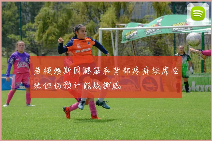 劳模赖斯因腿筋和背部疼痛缺席合练但仍预计能战挪威