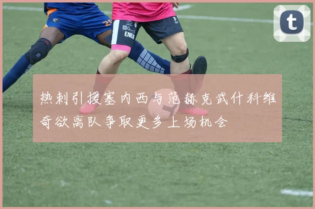 热刺引援塞内西与范赫克武什科维奇欲离队争取更多上场机会